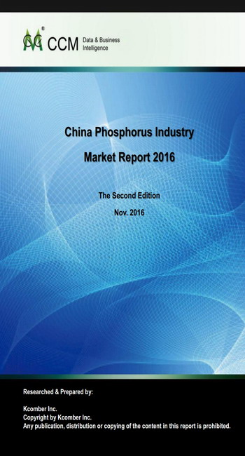 China Phosphorus Industry Market Report